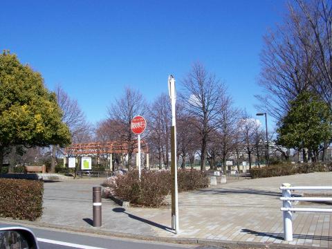 八幡町中央公園