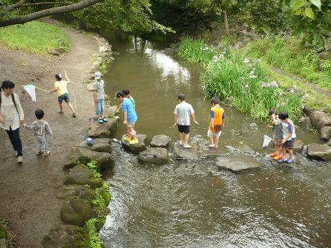 井の頭公園　夕やけ橋